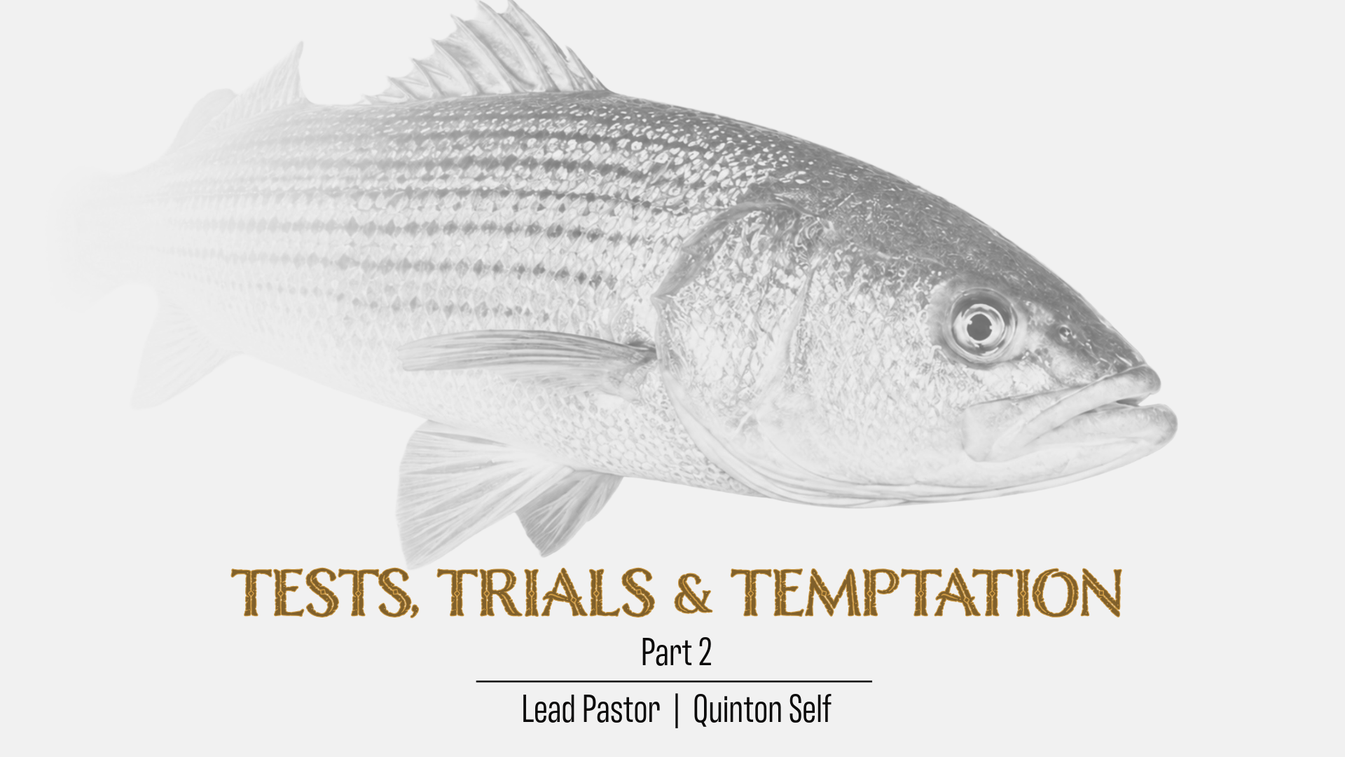Tests, Trials and Temptations Part 2