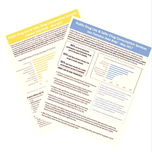 SCS - Evidence - Briefs.jpg