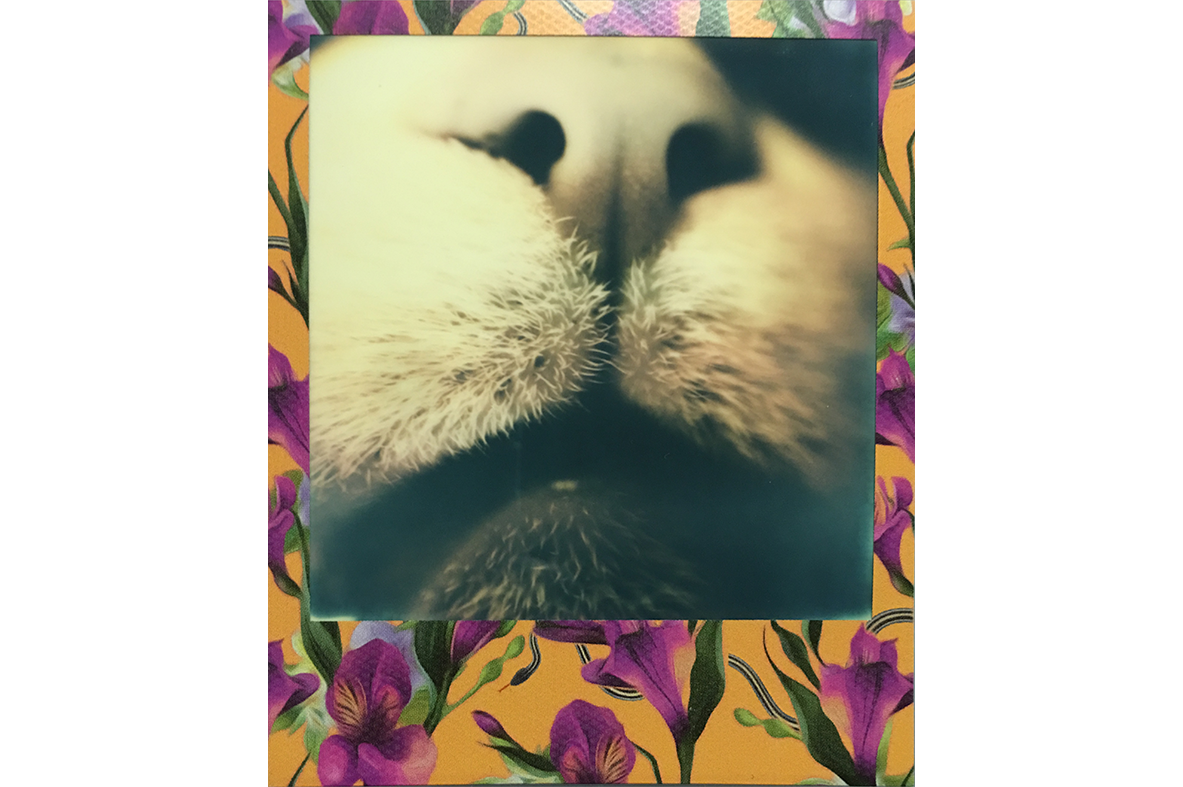 IMG_0117 copy.png