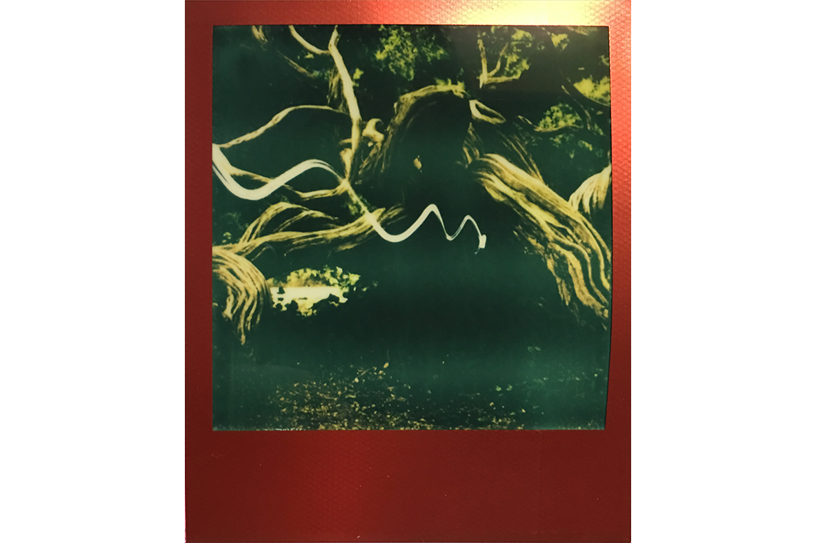 IMG_0273 copy.png