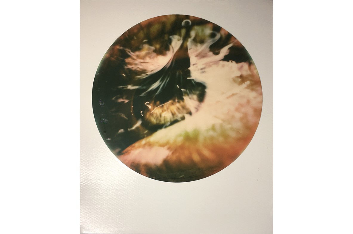 IMG_0447 copy.png
