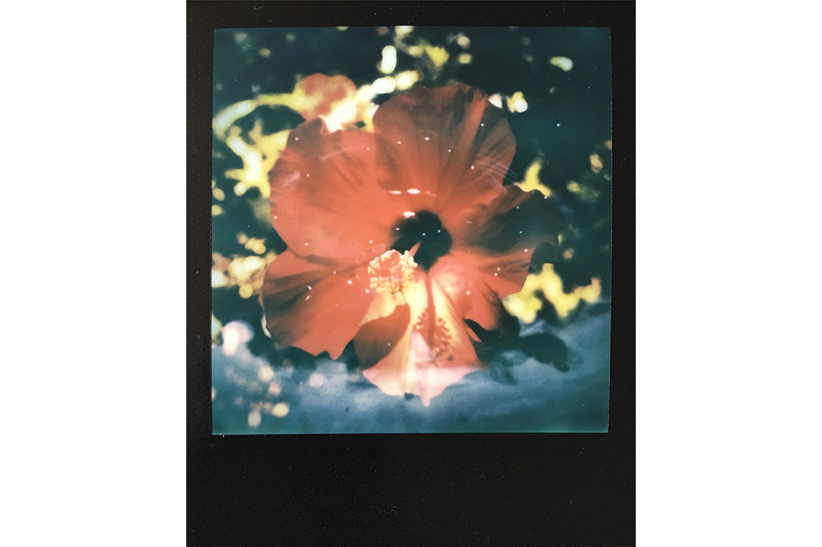 IMG_0693 copy.png