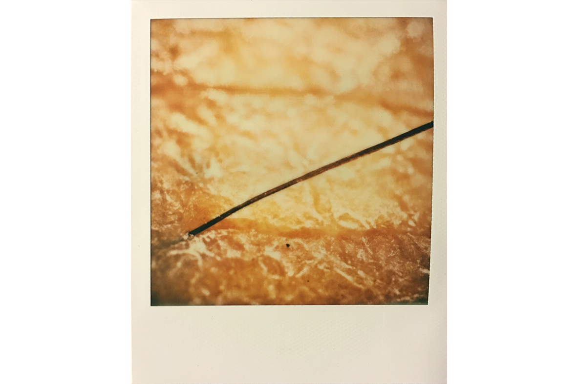IMG_0801 copy.png