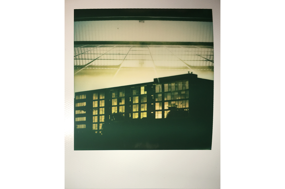 IMG_0808 copy.png