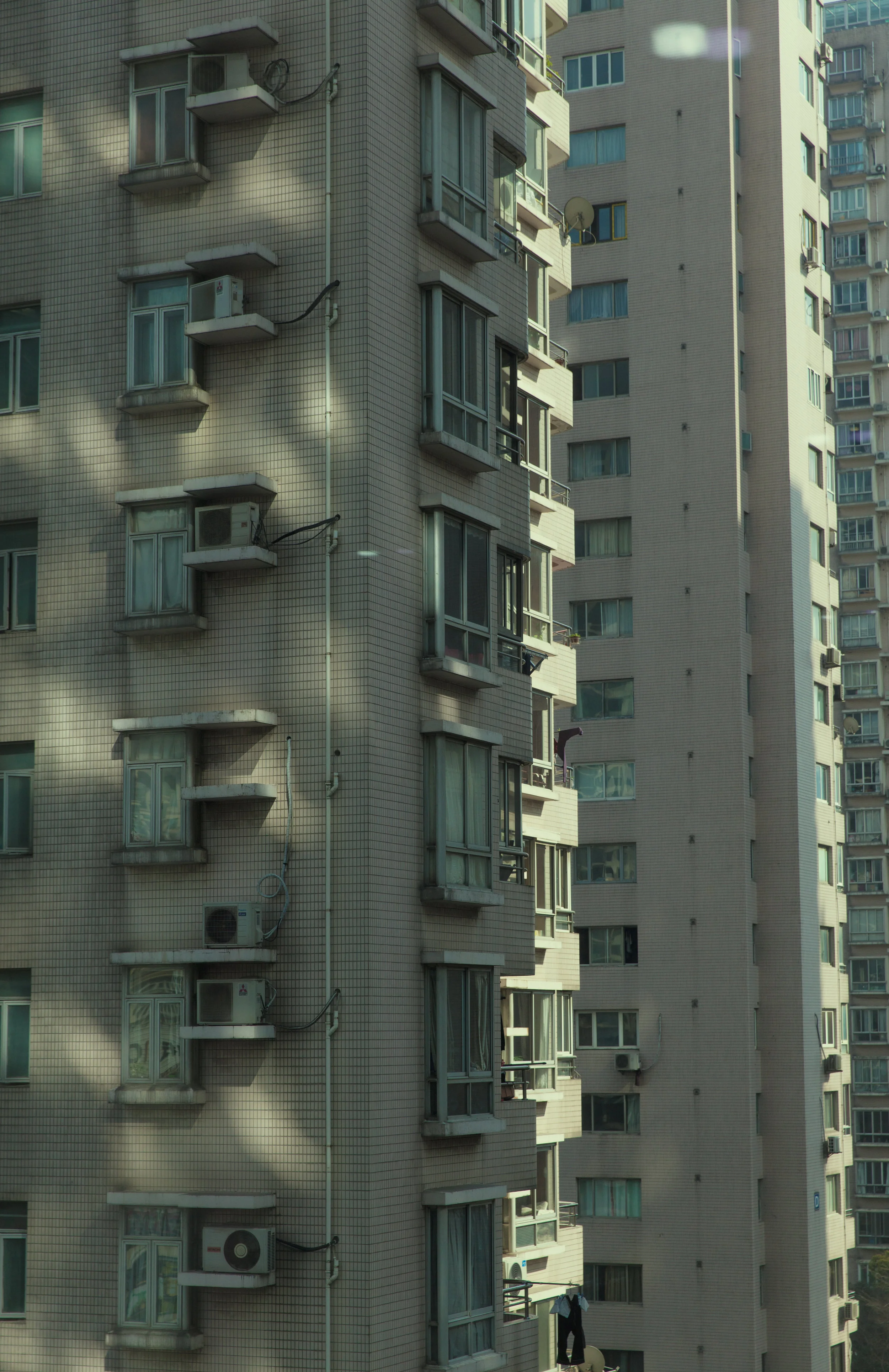 Termite mounds outside of EA Shanghai