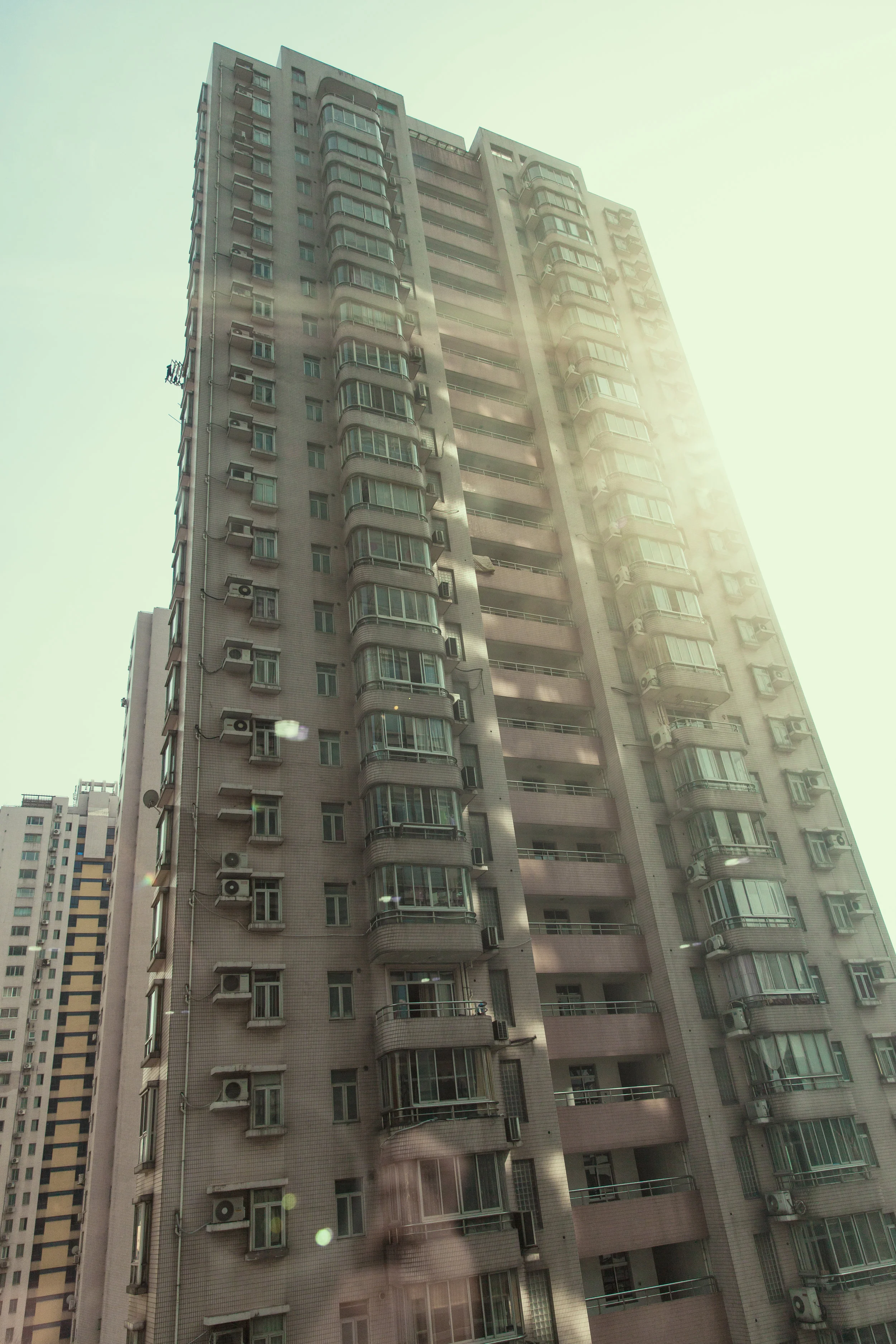 Termite mounds outside of EA Shanghai