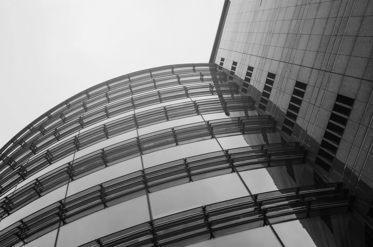 Don’t Count on Investors to Cover Your Backside