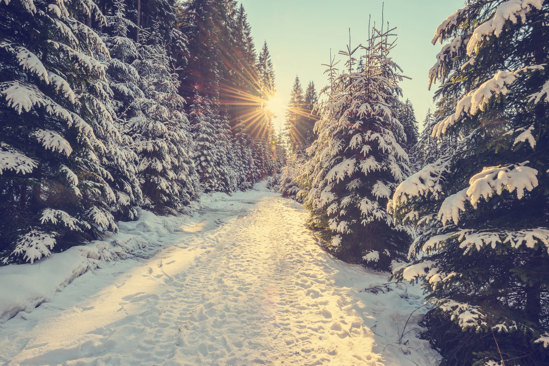 Photo by Tuutikka/iStock / Getty Images