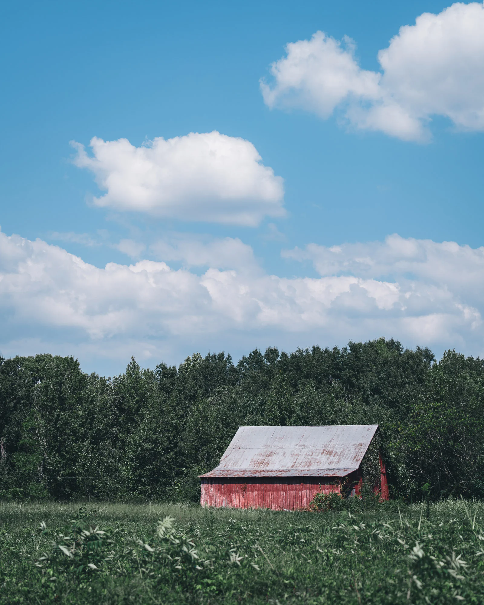 TN Barn Portrait.jpg