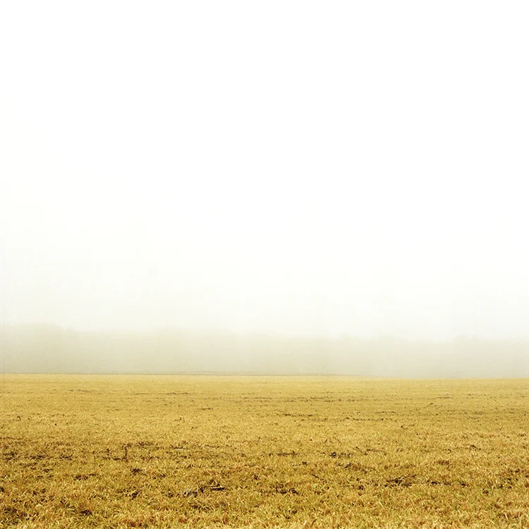 Untitled 20409 (Cape Elizabeth Maine).jpg