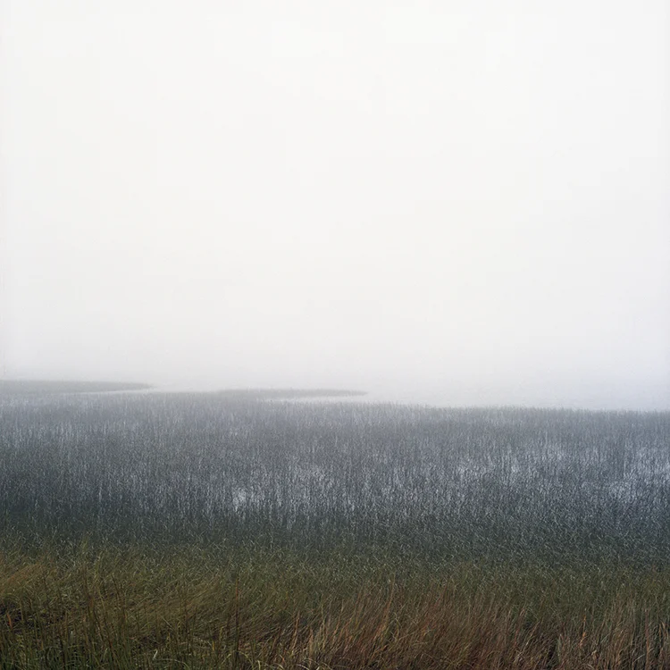 Untitled 513616 (Portland, Maine).jpg