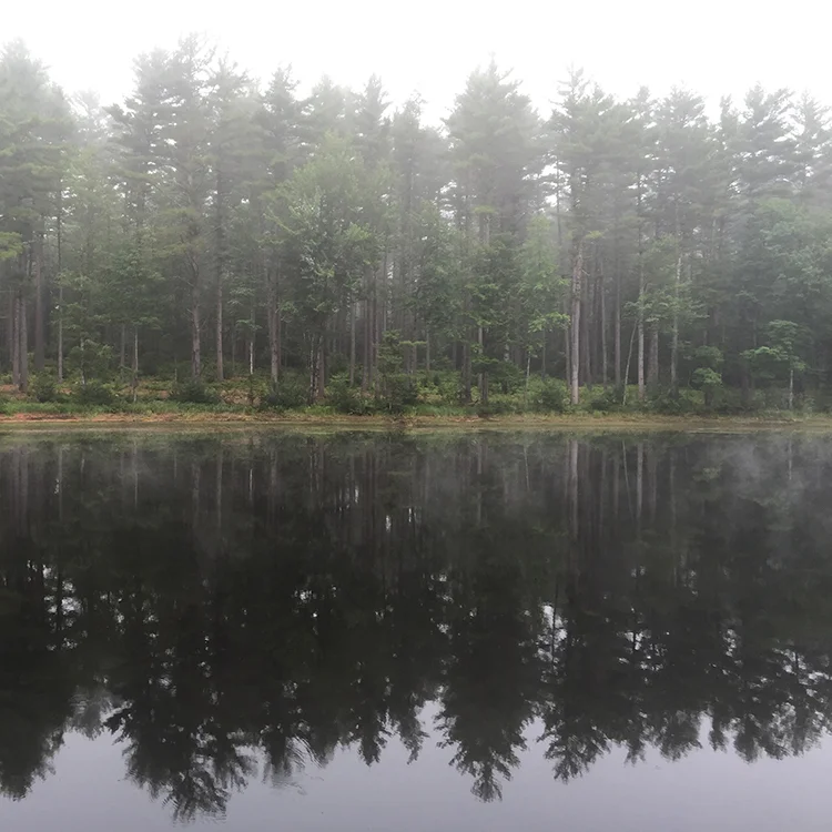 Morning Coffee Spot, Turner, Maine (July 21, 2015).150.5.jpg