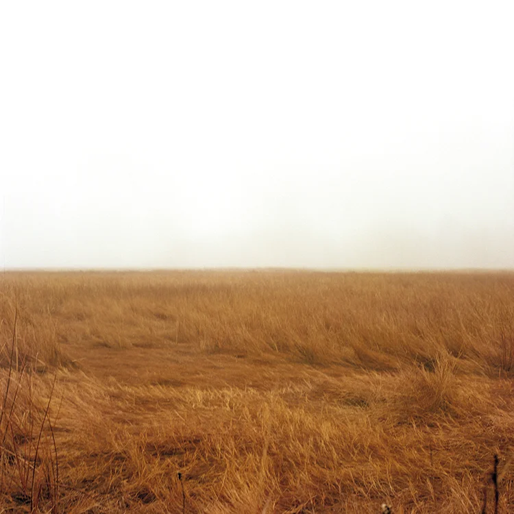 Untitled 18917 (Scarborough Maine).jpg