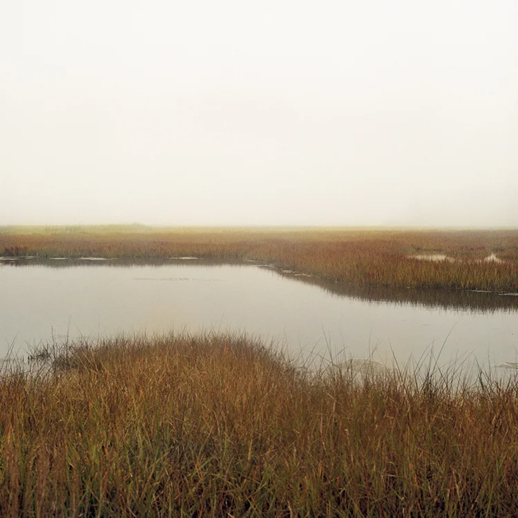 Untitled 310911 (Scarborough Maine).jpg