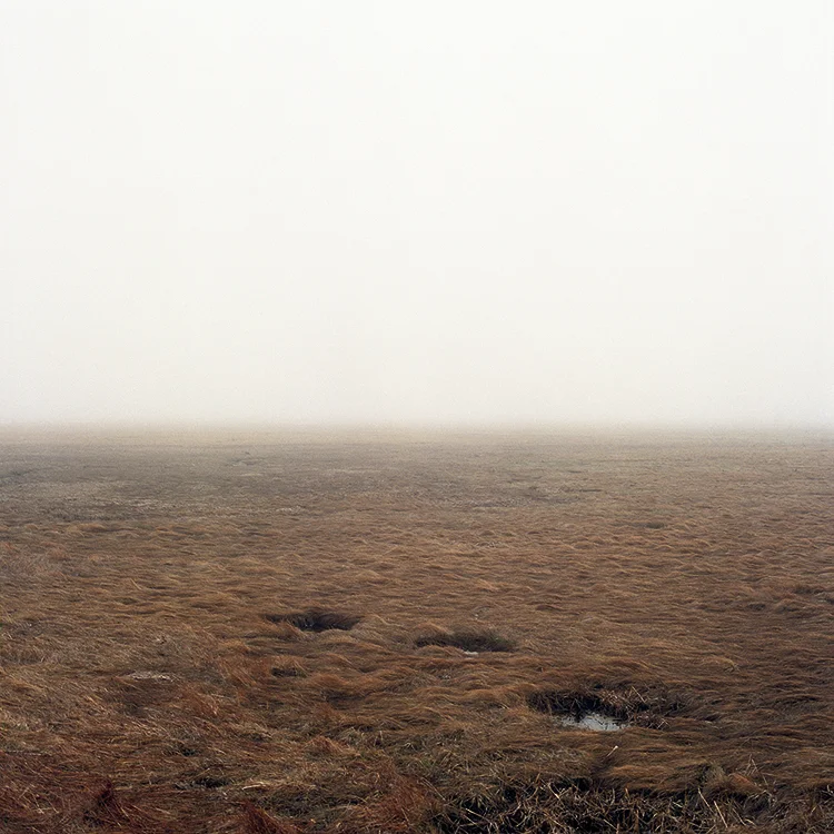 Untitled 45710 (Scarborough, Maine).jpg