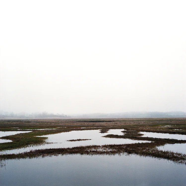 Untitled 56812 (Scarborough, Maine).jpg
