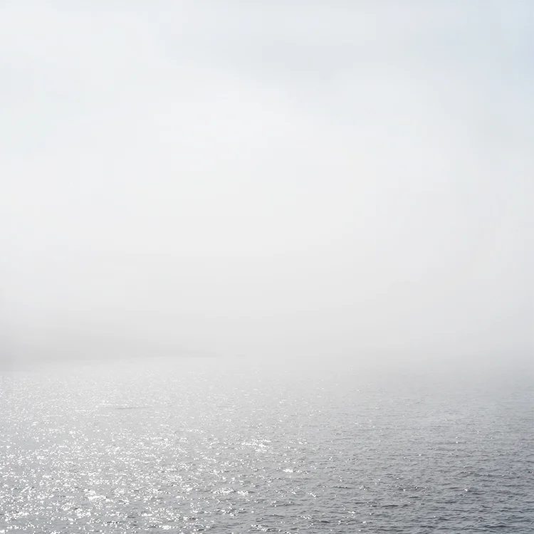 Friday Harbor I, San Juan Island, Washington.jpg