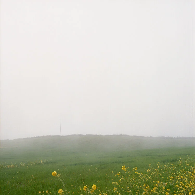 Untitled 139916 (Half Moon Bay, California).150.5.jpg