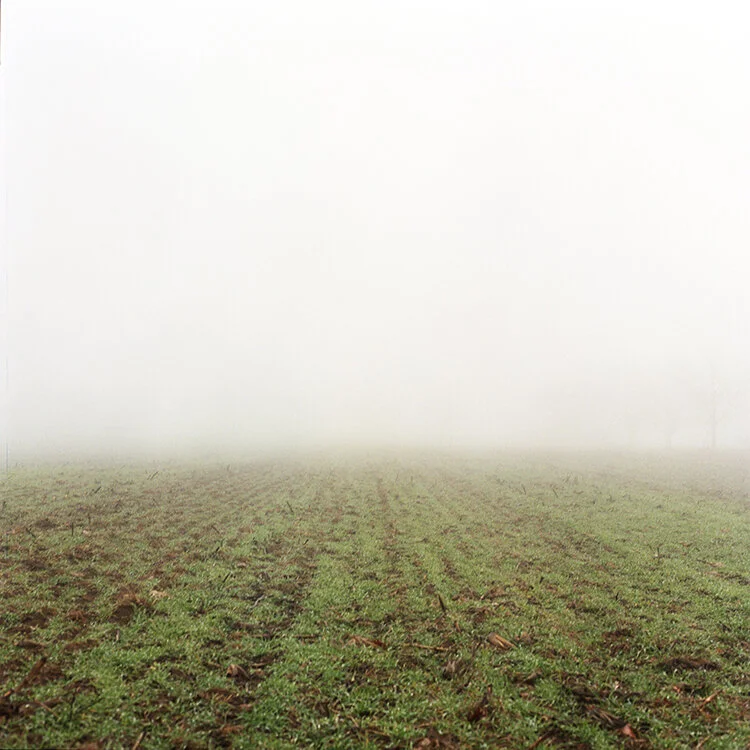 Untitled 19810 (Cape Elizabeth, Maine).5%22.jpg