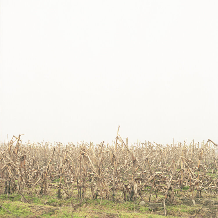 Untitled 35715 (Cape Elizabeth, Maine).5%22.jpg