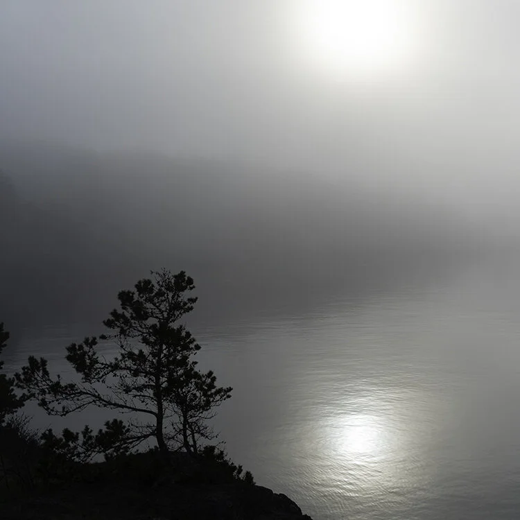 Untitled 2007515 (Friday Harbor, Washington)_5.150%22.jpg