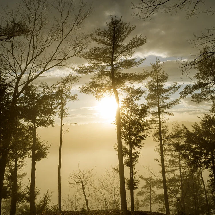 Untitled 213053 (Taylor Pond, Auburn, Maine)_150.5.jpg