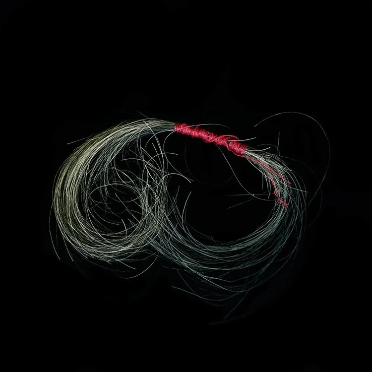 hair018.jpg