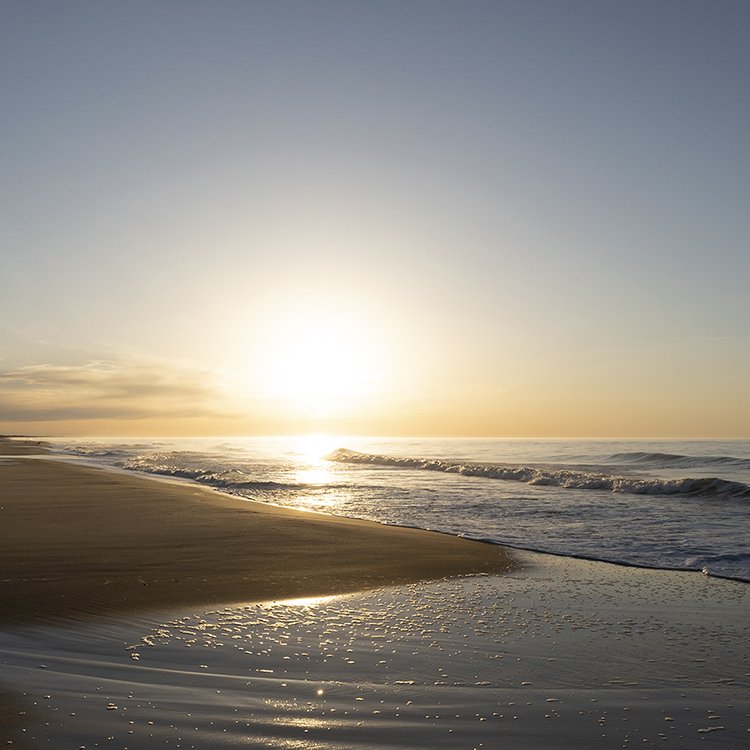Untitled 2207651 (Hither Hills Beach, Montauk, New York).5%22.jpg