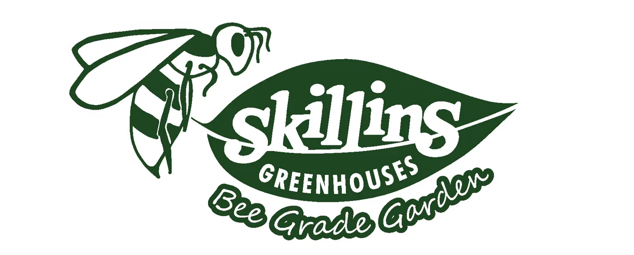 Skillins-Bee-Graphic_1244x500.webp