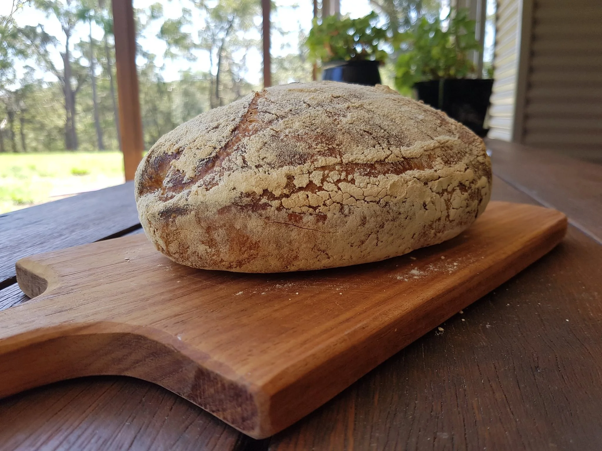 bread.jpg
