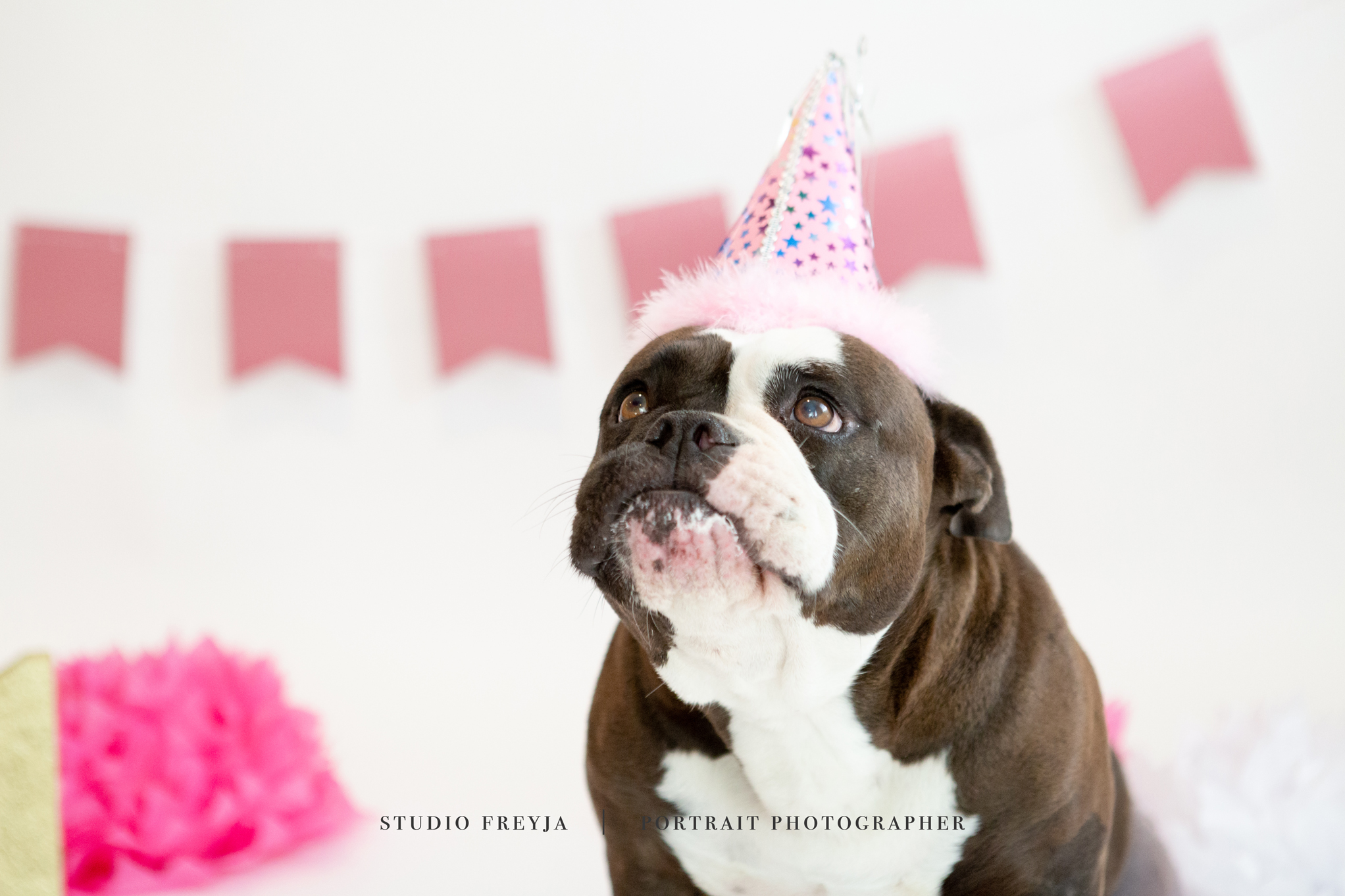 Mila One Year Cake Smash Copyright Studio Freyja (61 of 72).jpg