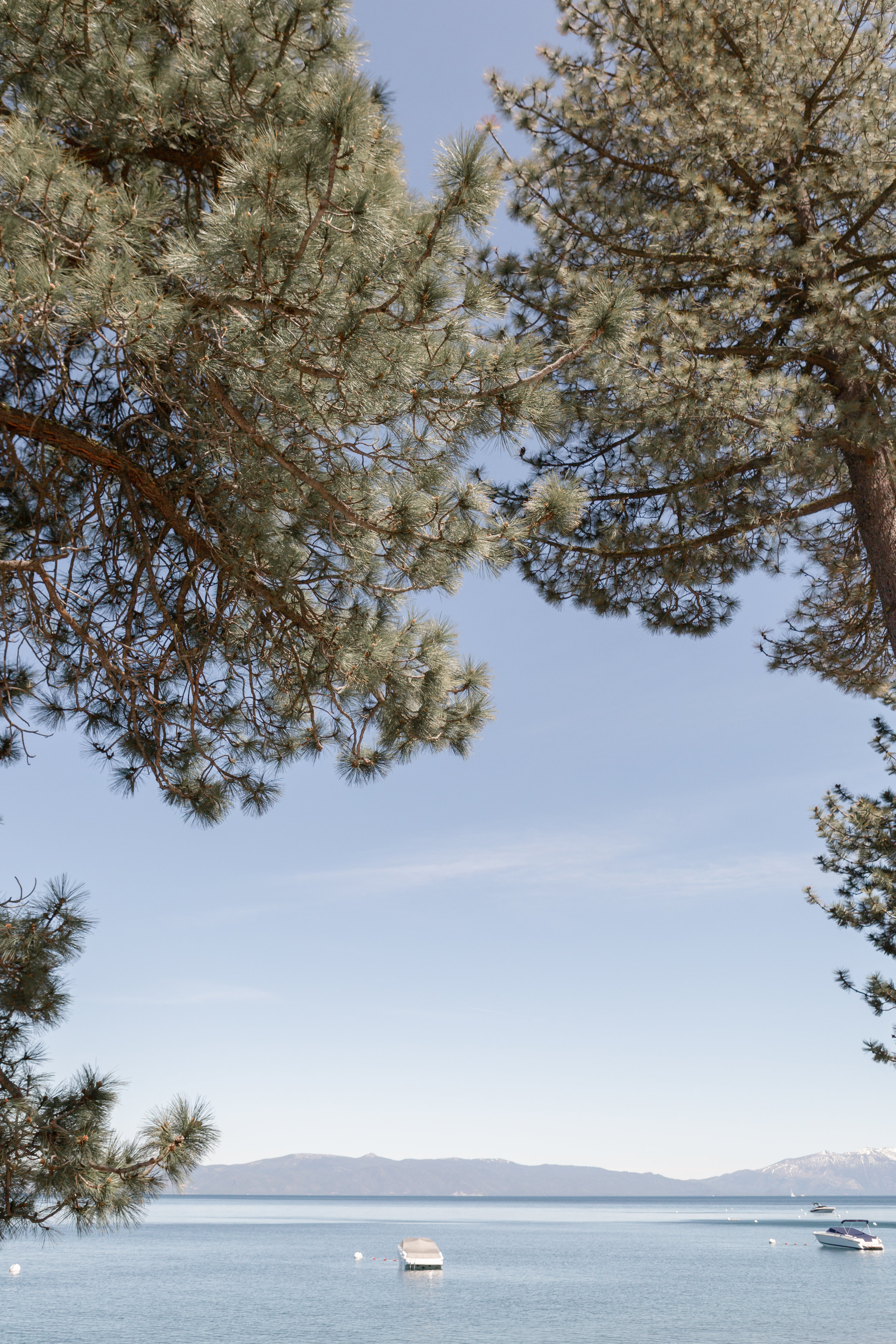 Lake Tahoe June 2019-1.jpg