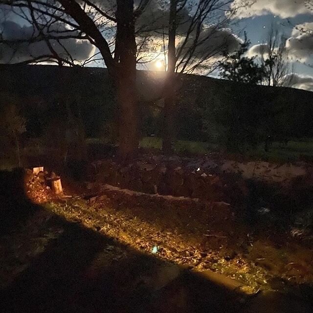 Repost from @masterthemoon
&bull;
This looks like a sunrise 🌄 but it&rsquo;s actually a super bright MOON RISE 🌖sent from my little bro who lives in magical Vermont🍁 feel the light that shines so bright there while in Arizona🌵the light was shield