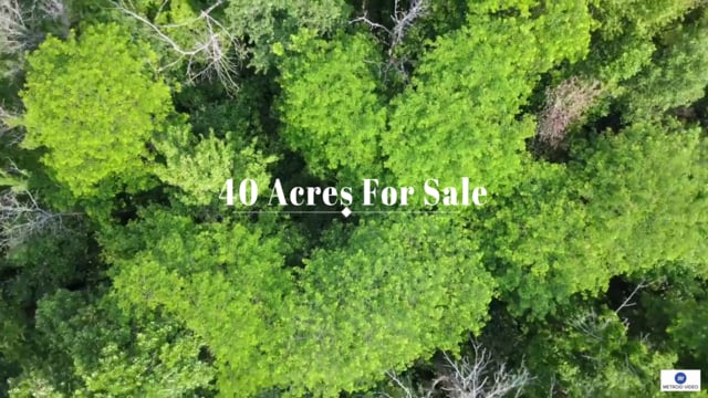 40 Acres Real Estate
