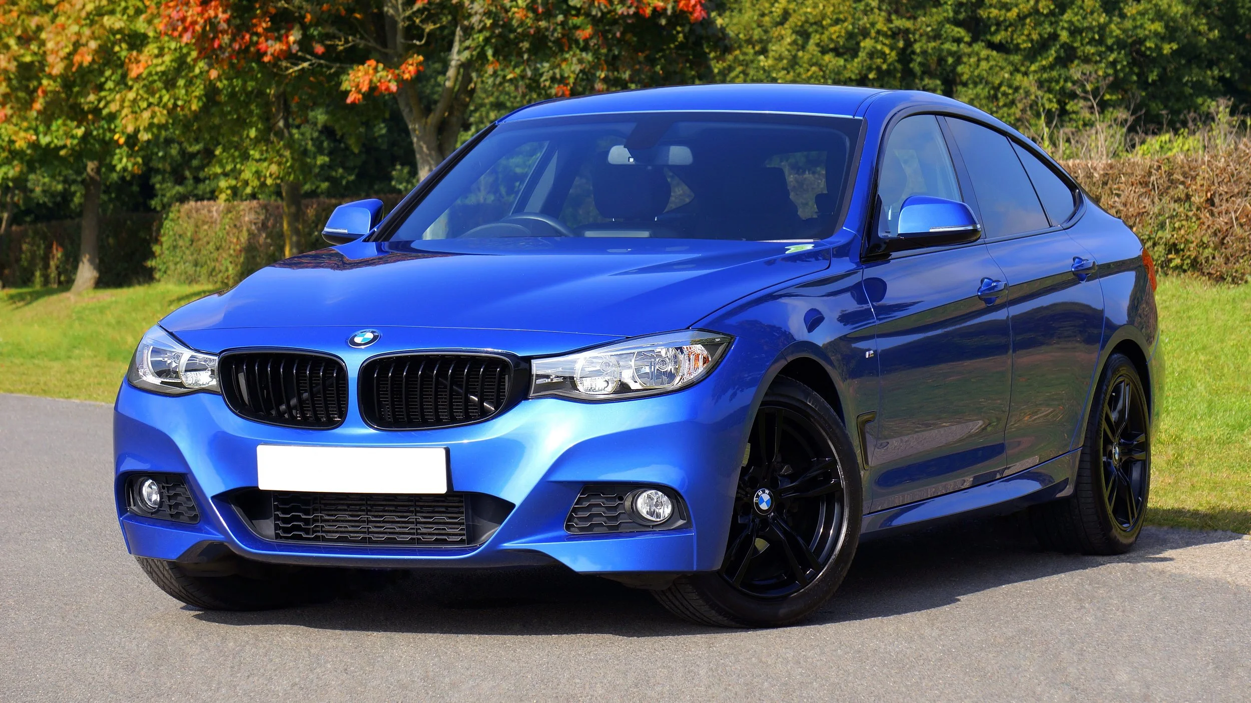 blue-bmw-sedan-near-green-lawn-grass-170811.jpg