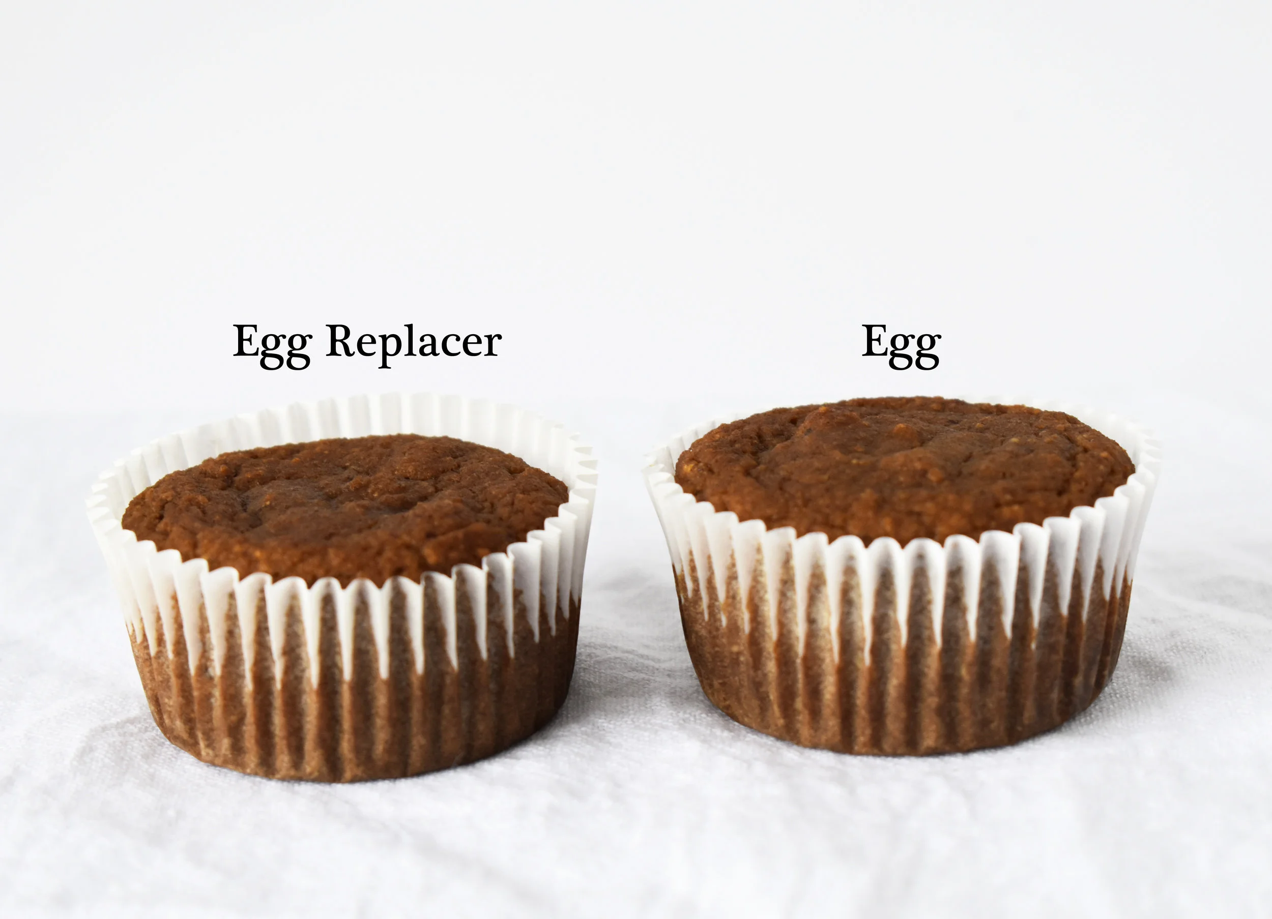 Egg vs. Egg Replacer Carolyn Williams, PhD, RD