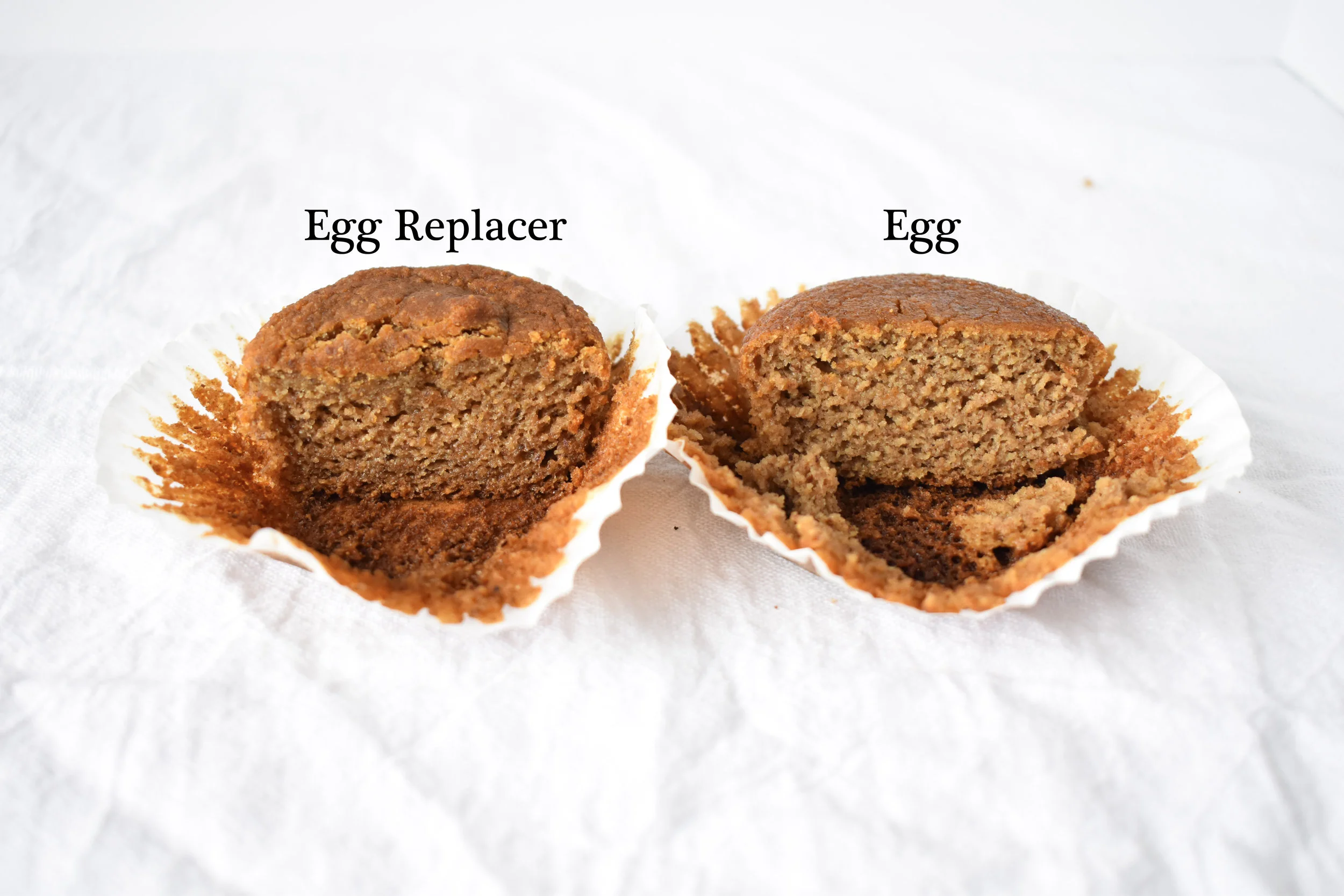 Egg vs. Egg Replacer Carolyn Williams, PhD, RD