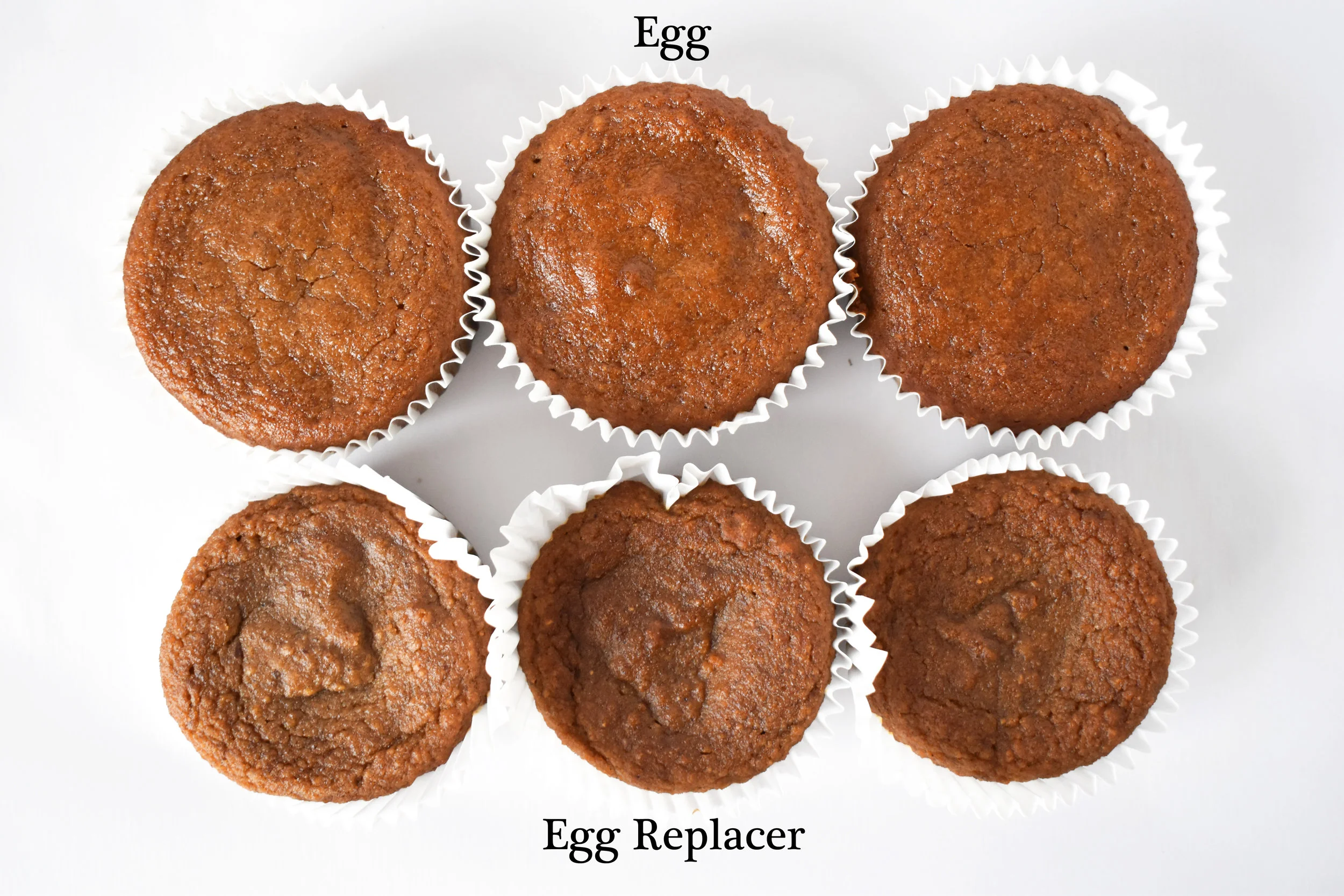 Egg vs. Egg Replacer Carolyn Williams, PhD, RD