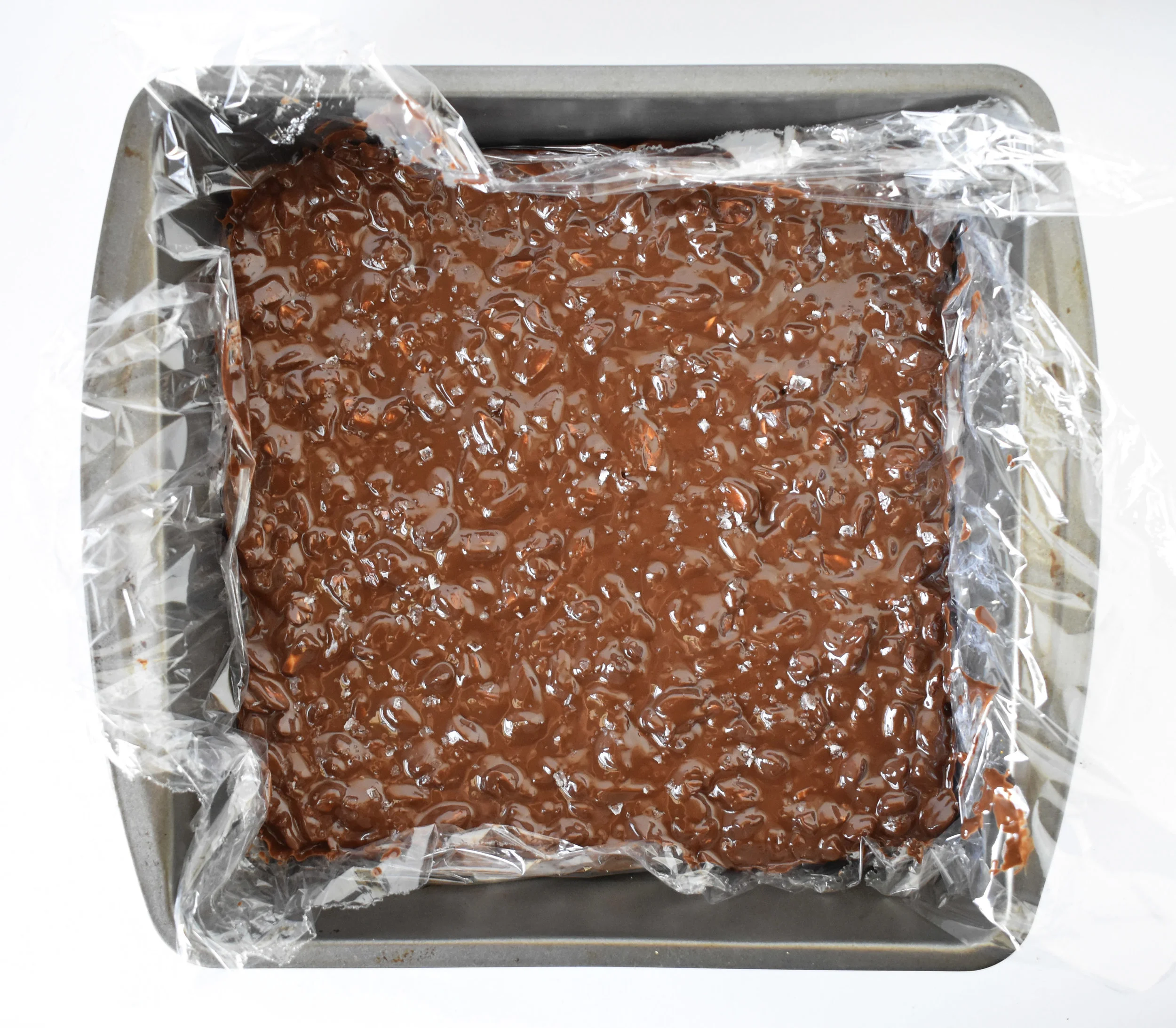 Bark Pre-Fridge Above.jpg