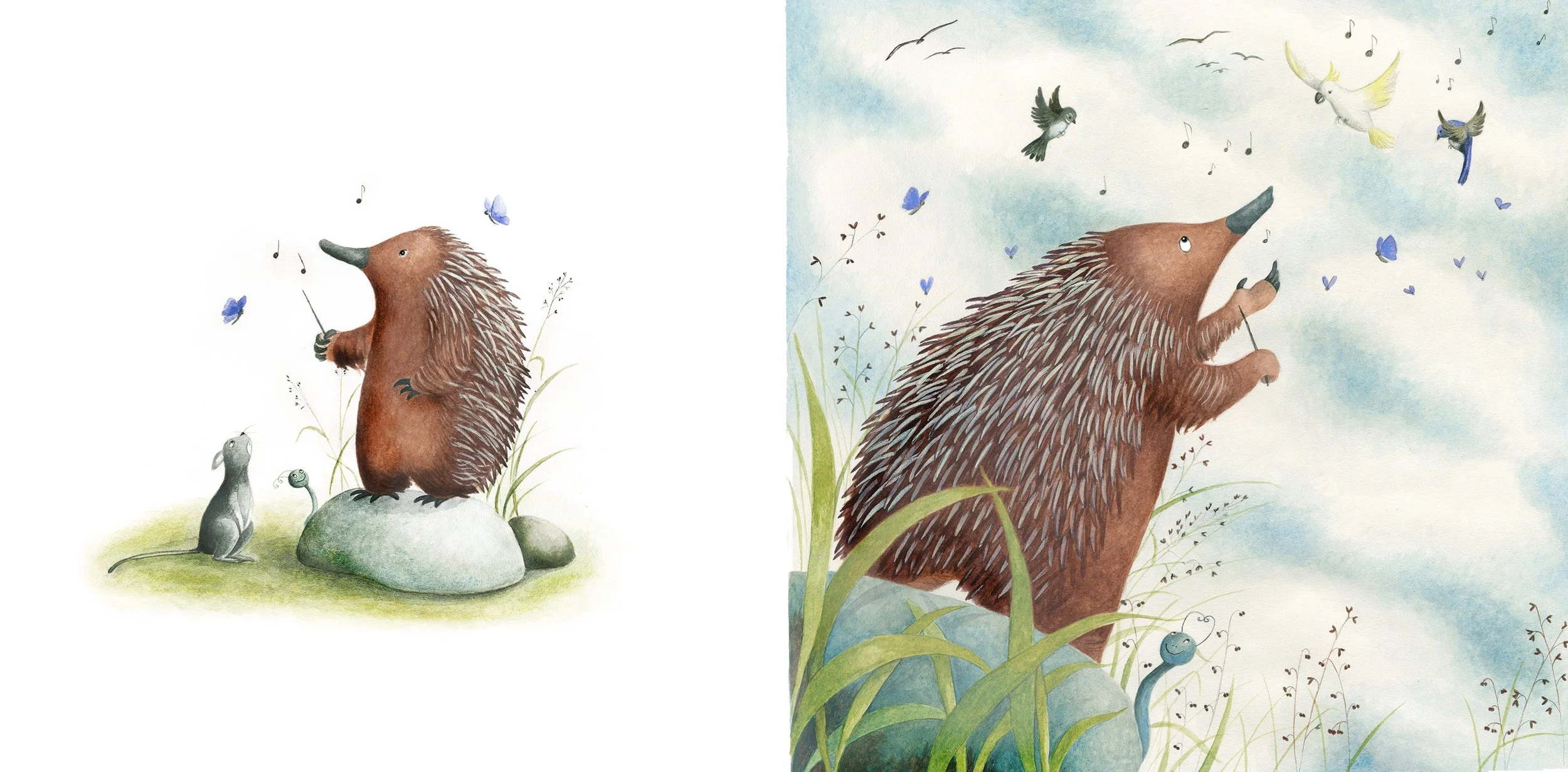 Echidna caterpillar edited.jpg