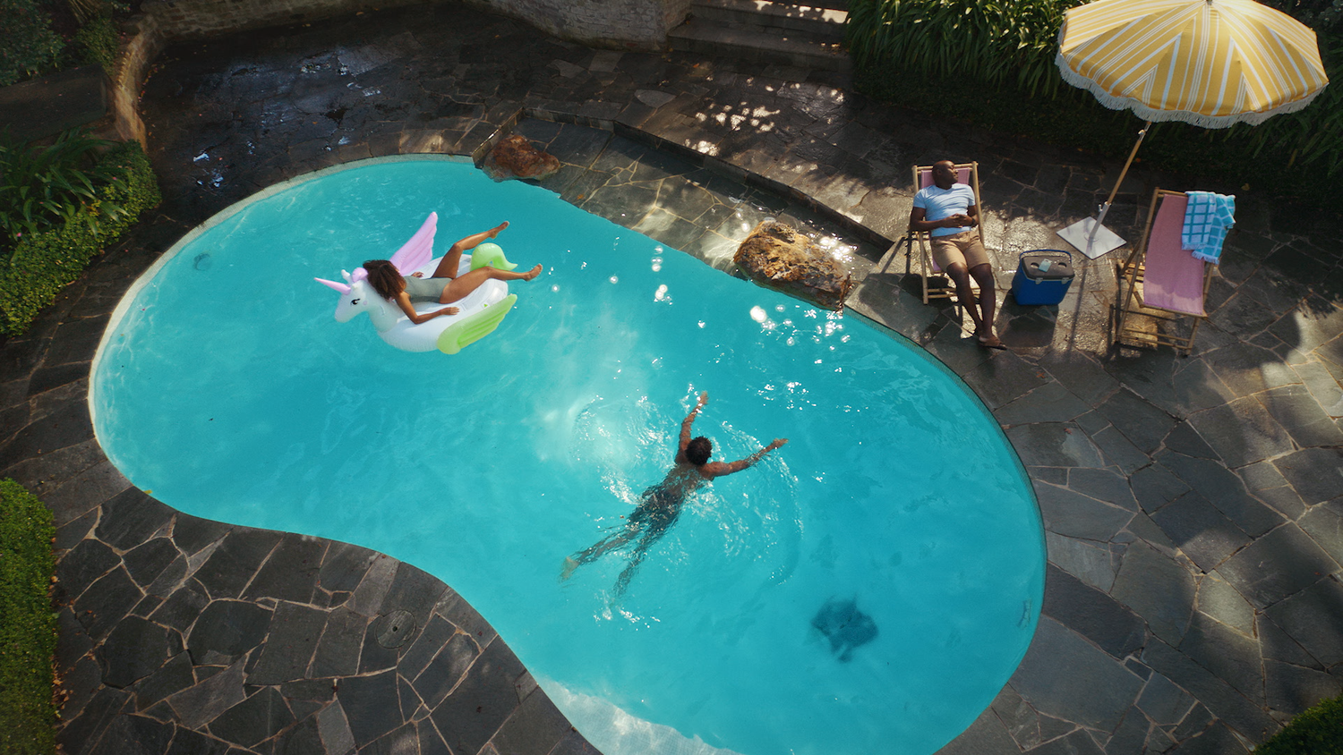 Google Modern Search