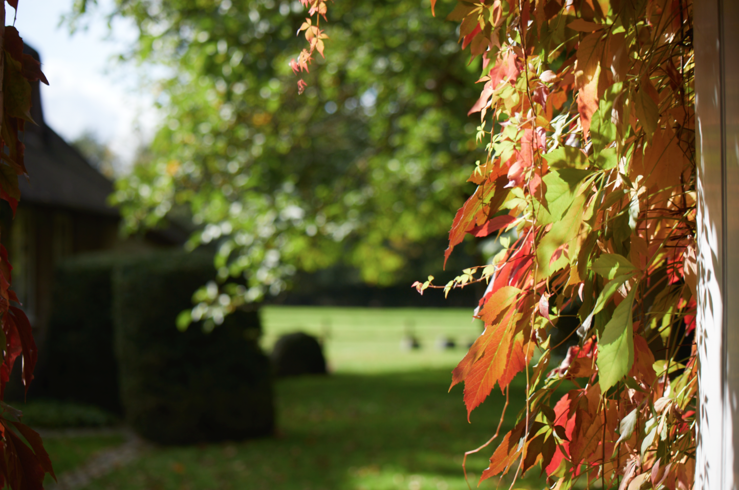 jm_capture 2017-10-21_09-43-04_PM2.png