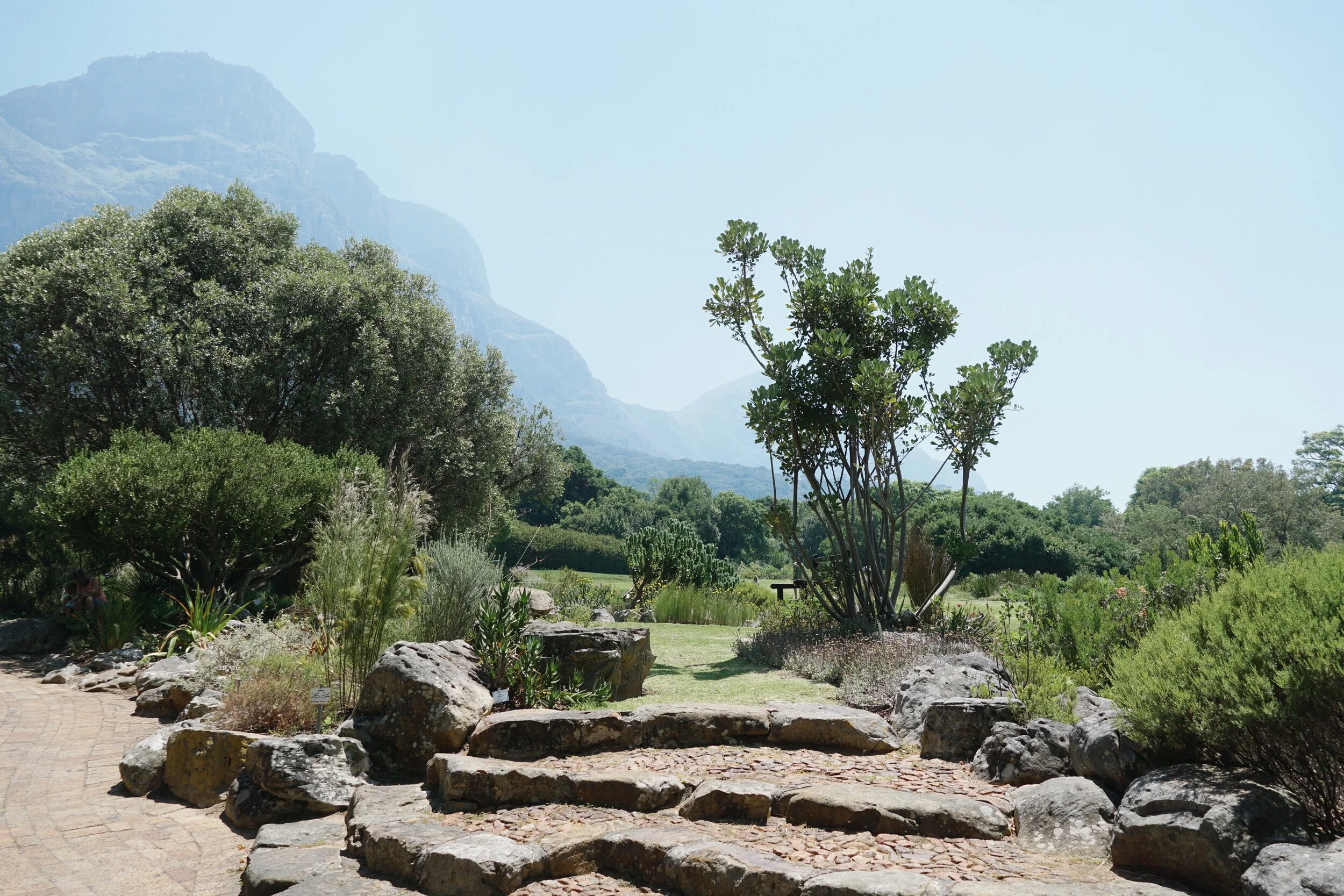 Kirstenbosch Botanical Gardens