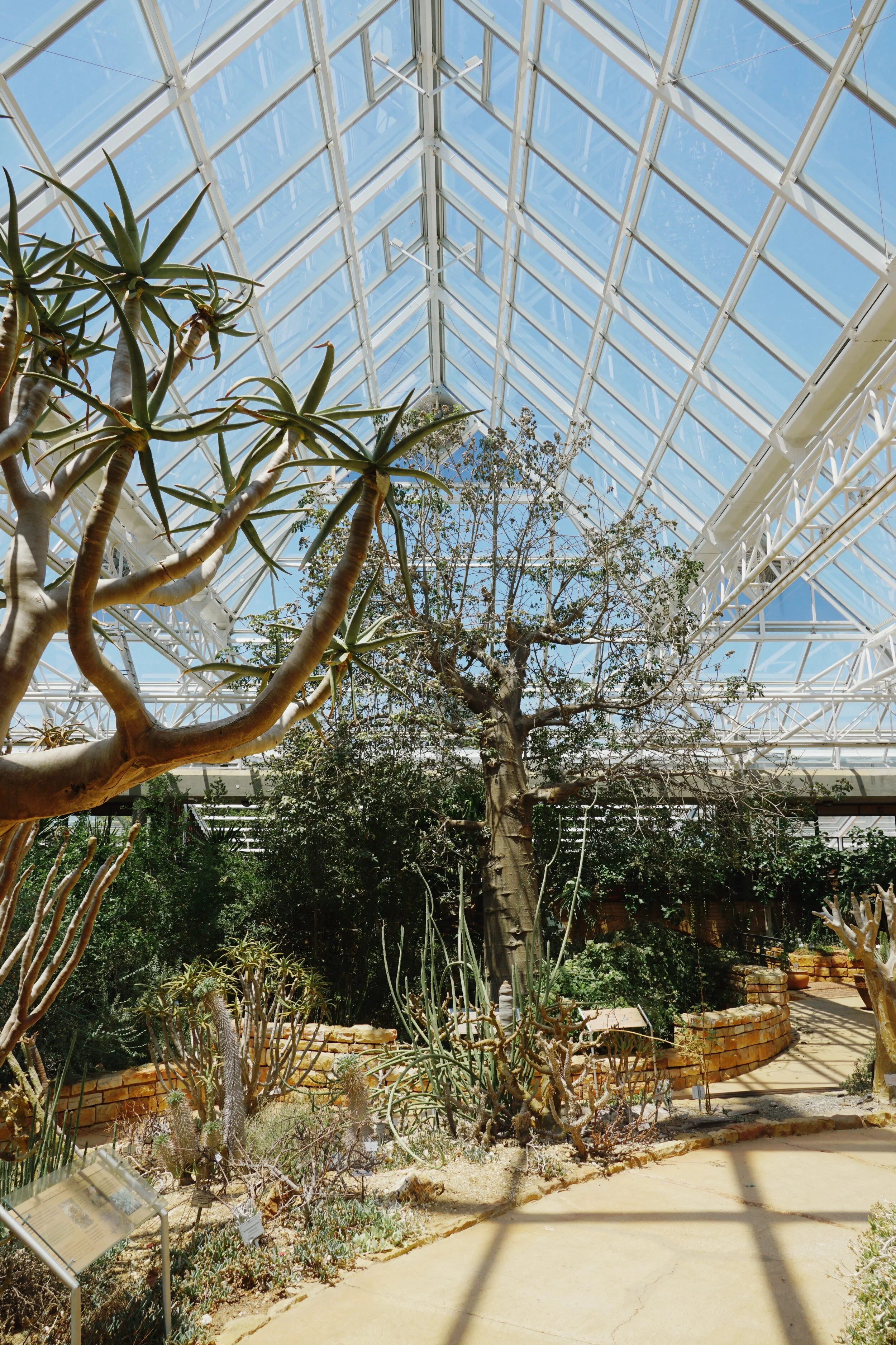 Kirstenbosch Botanical Gardens