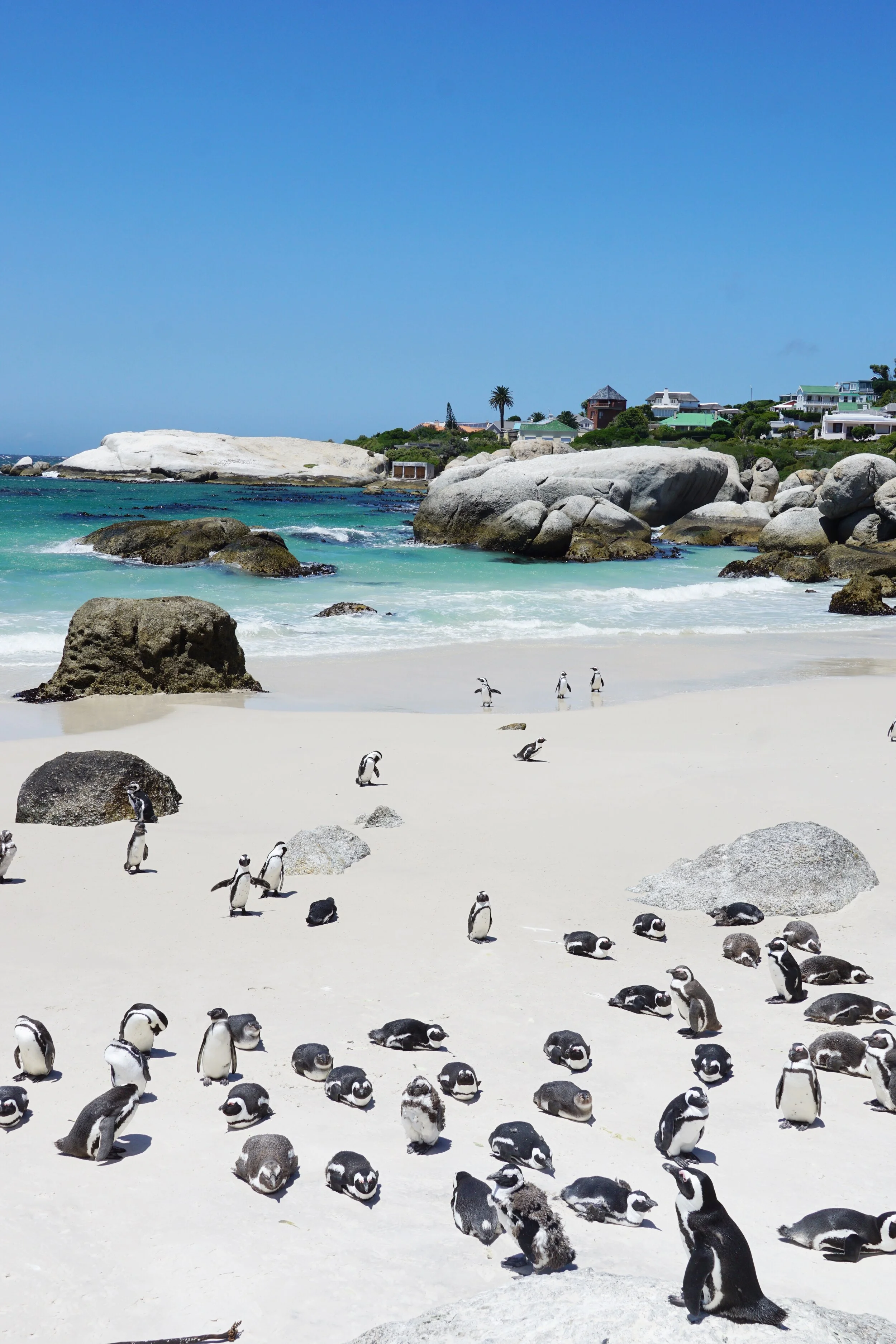 Cape Town, South Africa 