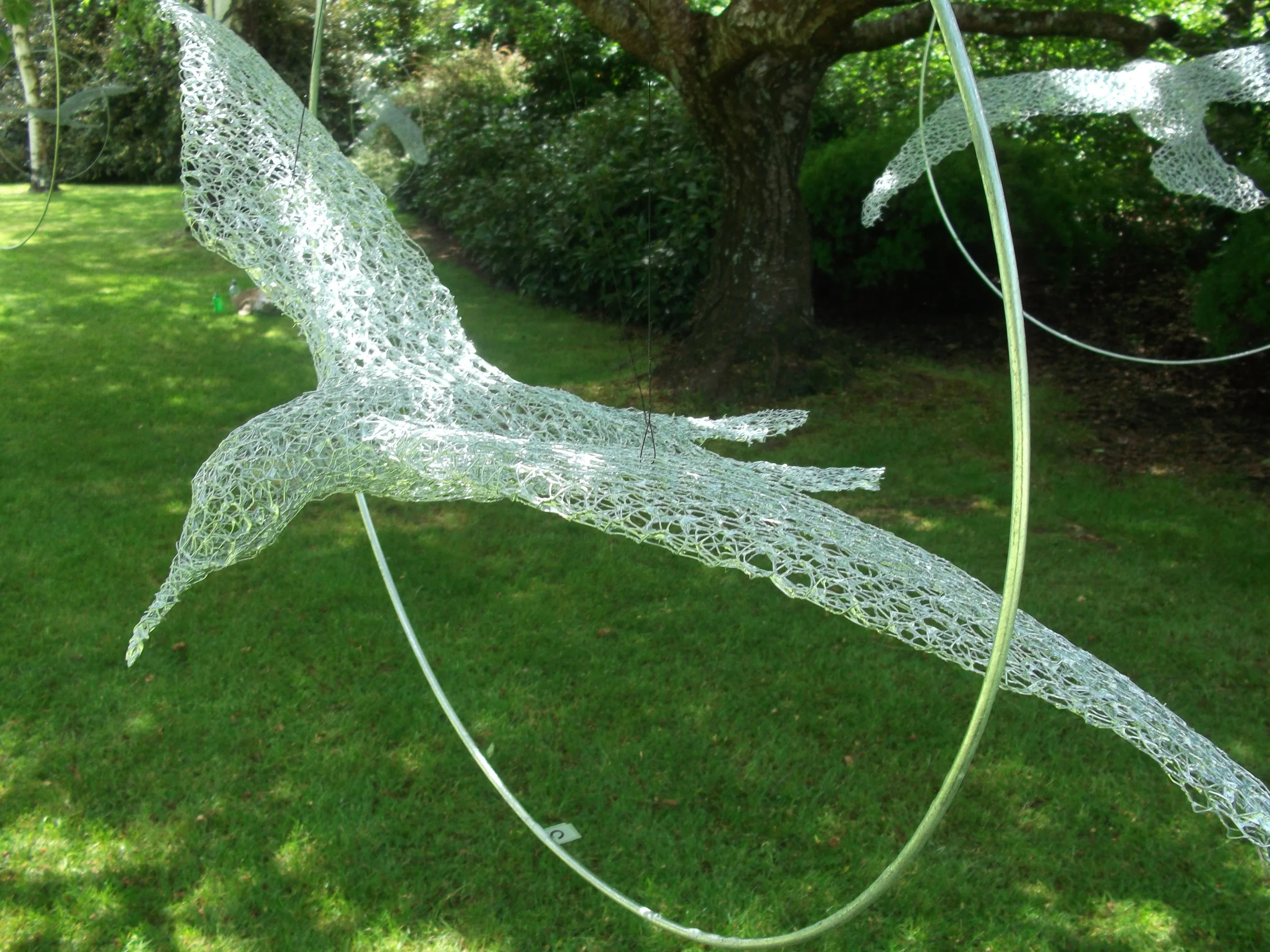 Aves de Mari - from $600