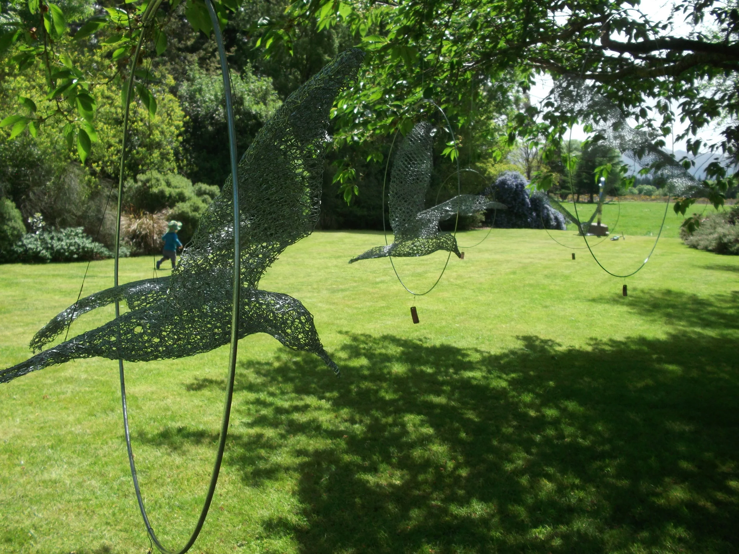 Aves de Mari - from $600