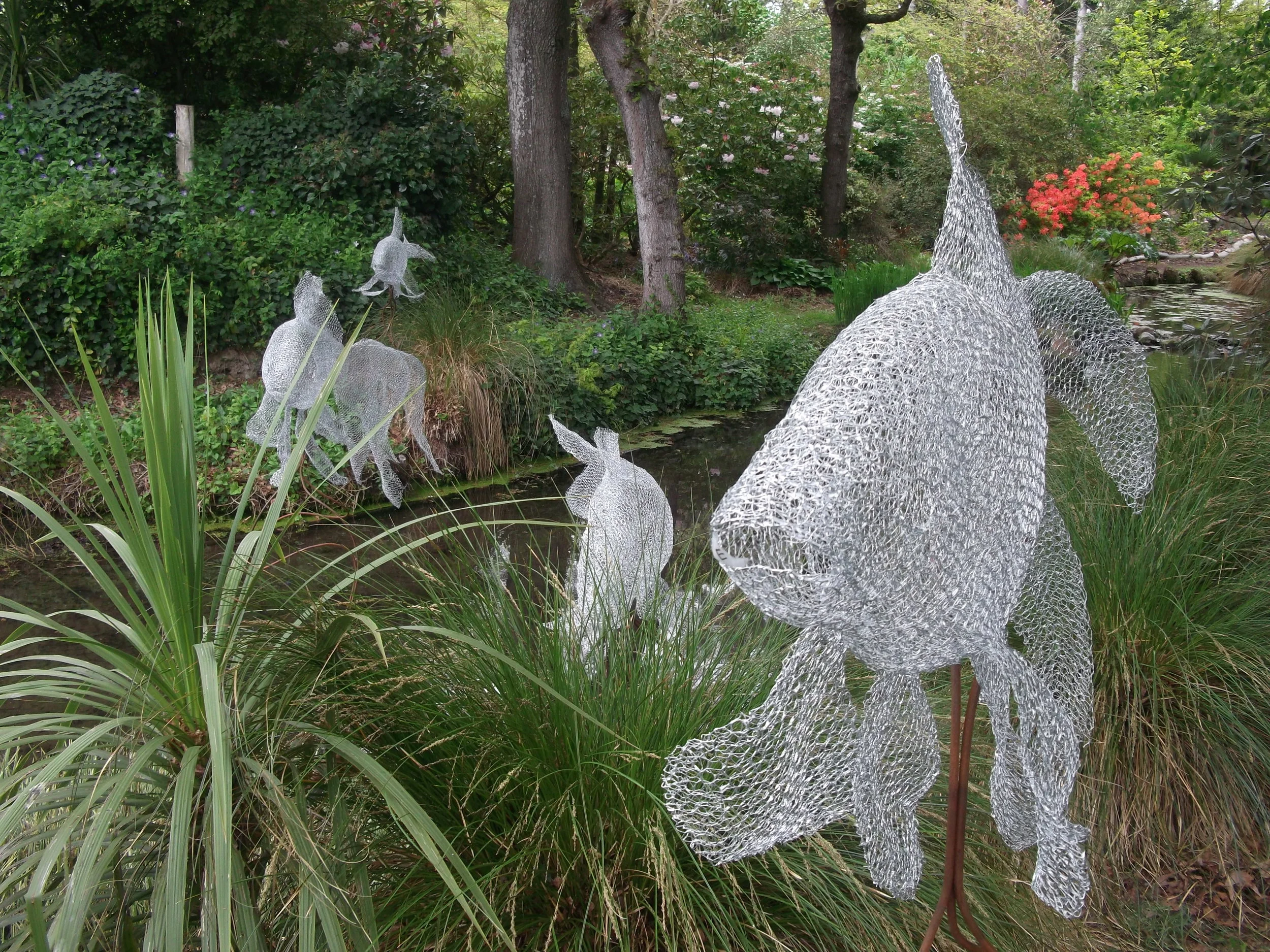 Carassius Argentum Magnus - from $800