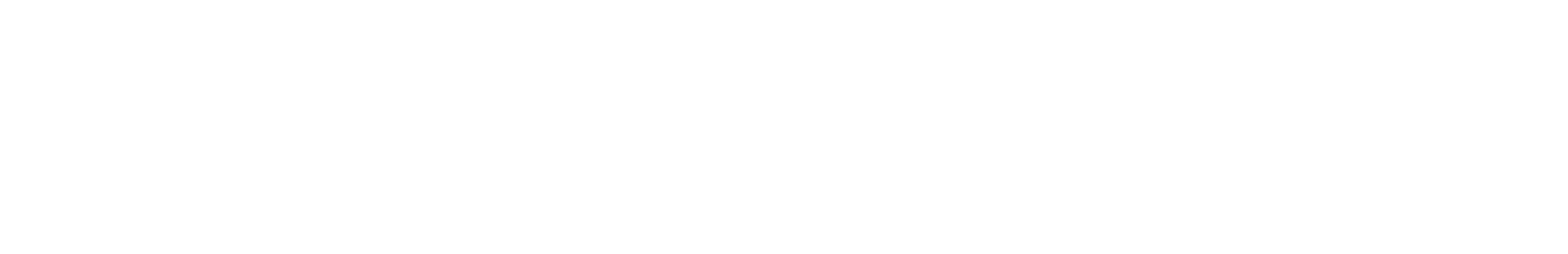 IN2HAIR_LOGO WHITE.png