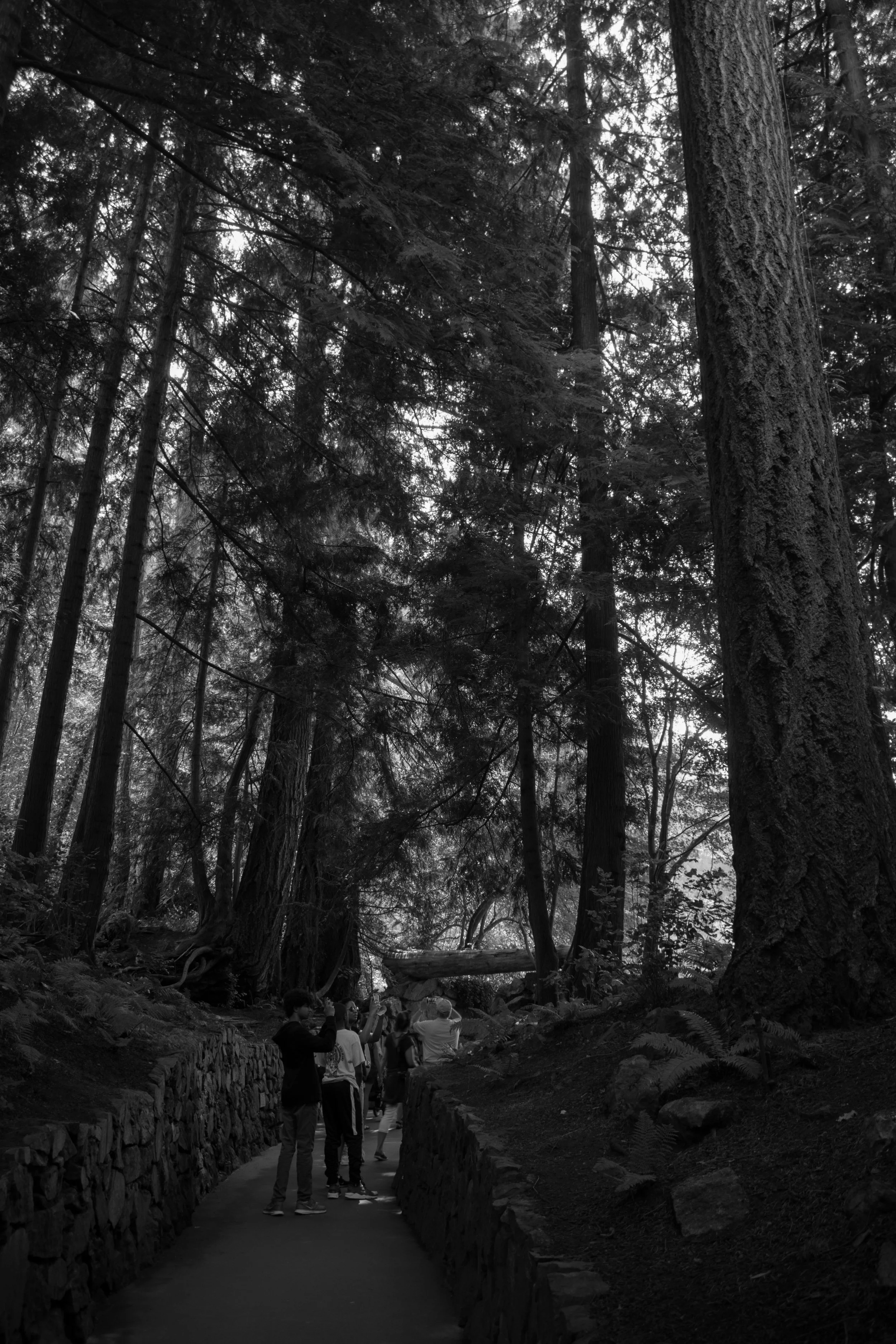 DSC_1491.jpg